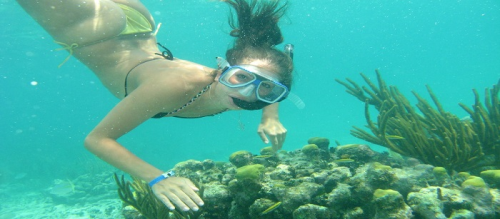 KIND OF SNORKELING